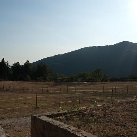 Villa Agriturismo Le Vigne Montale  Exterior foto